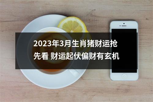 2025年3月生肖猪财运抢先看财运起伏偏财有玄机