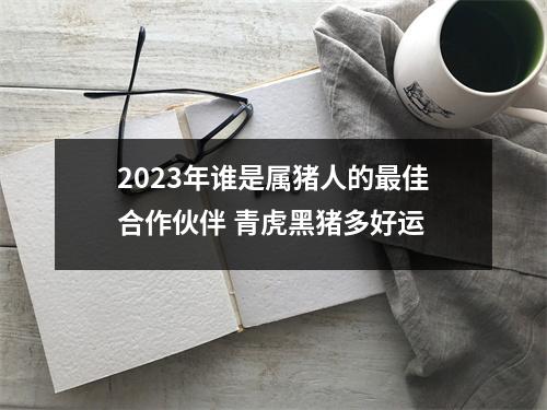 2025年谁是属猪人的佳合作伙伴青虎黑猪多好运