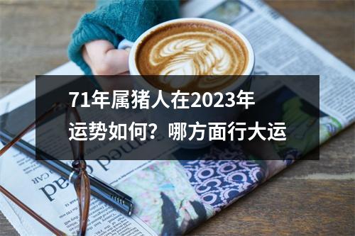 71年属猪人在2025年运势如何？哪方面行大运