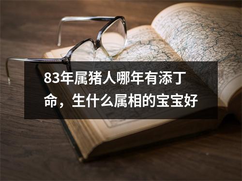 83年属猪人哪年有添丁命，生什么属相的宝宝好