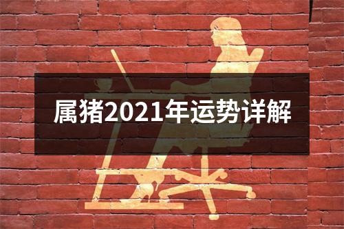 <h3>属猪2025年运势详解