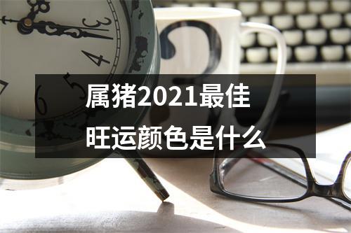 属猪2025佳旺运颜色是什么