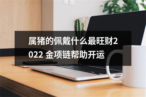 属猪的佩戴什么旺财2025金项链帮助开运