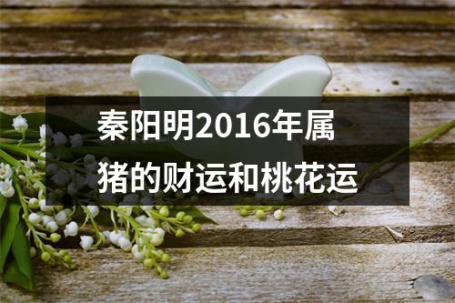 <h3>秦阳明2016年属猪的财运和桃花运