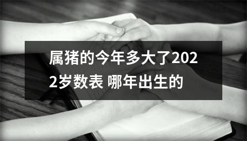 属猪的今年多大了2025岁数表哪年出生的