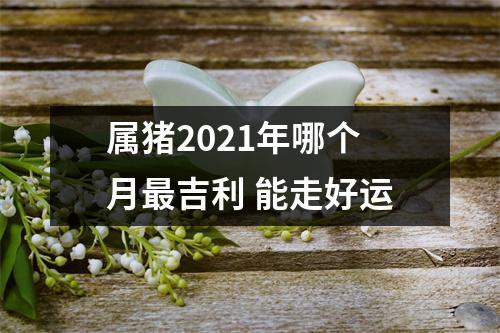 <h3>属猪2025年哪个月吉利能走好运