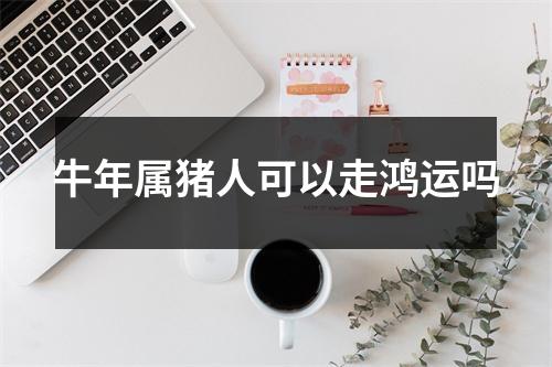 <h3>牛年属猪人可以走鸿运吗