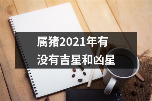 属猪2025年有没有吉星和凶星