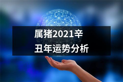 属猪2025辛丑年运势分析