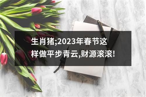 生肖猪;2025年春节这样做平步青云,财源滚滚!