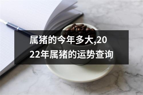 属猪的今年多大,2025年属猪的运势查询