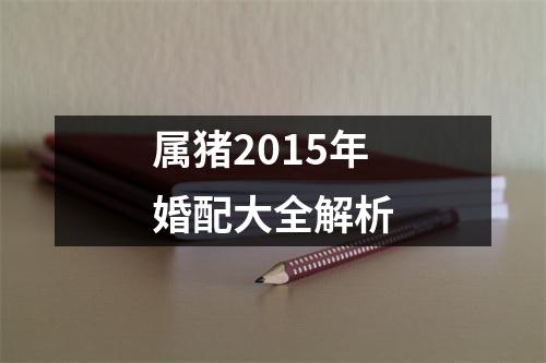 <h3>属猪2015年婚配大全解析