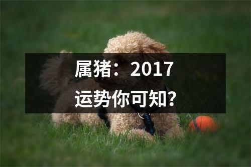 属猪：2017运势你可知？