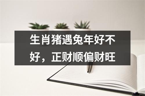 <h3>生肖猪遇兔年好不好，正财顺偏财旺