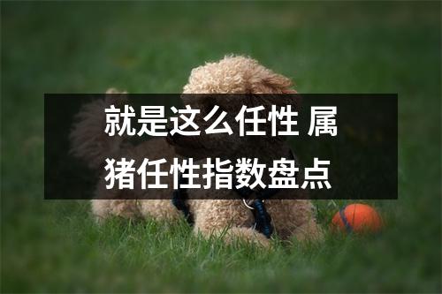 就是这么任性属猪任性指数盘点