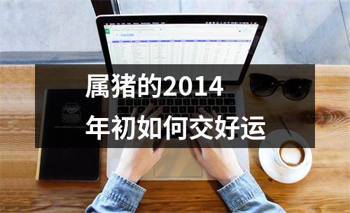 属猪的2014年初如何交好运