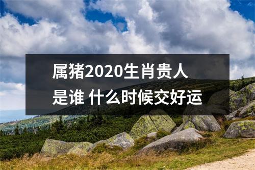 属猪2025生肖贵人是谁什么时候交好运