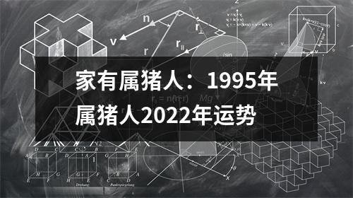 家有属猪人：1995年属猪人2025年运势