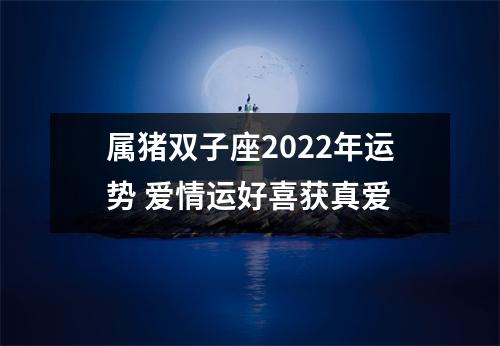 属猪双子座2025年运势爱情运好喜获真爱