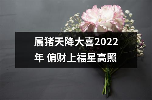 <h3>属猪天降大喜2025年偏财上福星高照