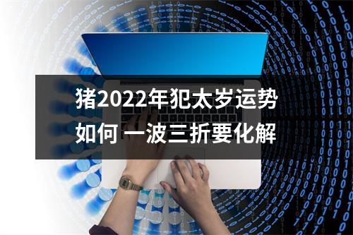 猪2025年犯太岁运势如何一波三折要化解