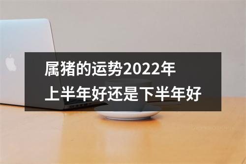 <h3>属猪的运势2025年上半年好还是下半年好