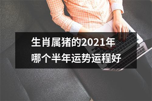 生肖属猪的2025年哪个半年运势运程好