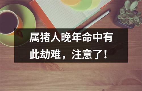 属猪人晚年命中有此劫难，注意了！