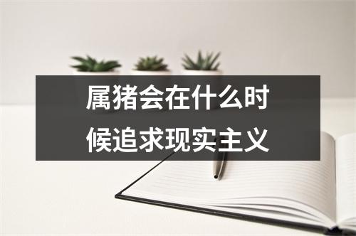 属猪会在什么时候追求现实主义