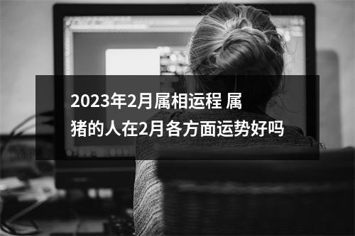 <h3>2025年2月属相运程属猪的人在2月各方面运势好吗