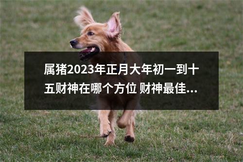 <h3>属猪2025年正月大年初一到十五财神在哪个方位财神佳方位