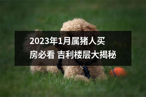 2025年1月属猪人买房必看吉利楼层大揭秘