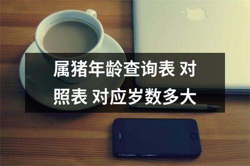 <h3>属猪年龄查询表对照表对应岁数多大