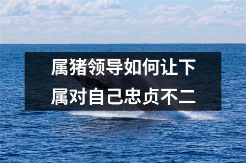 属猪领导如何让下属对自己忠贞不二