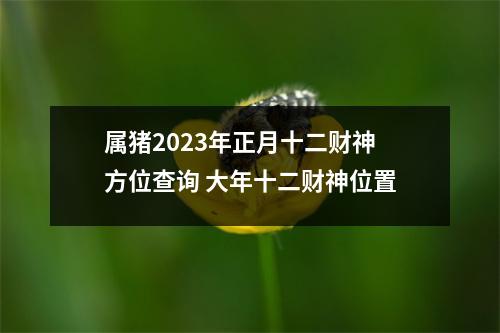 属猪2025年正月十二财神方位查询大年十二财神位置