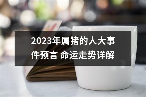 2025年属猪的人大事件预言命运走势详解