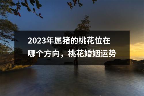 <h3>2025年属猪的桃花位在哪个方向，桃花婚姻运势