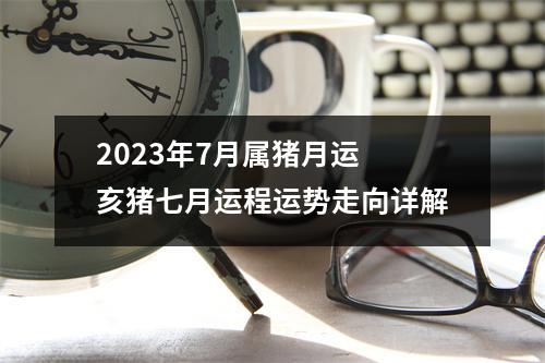 2025年7月属猪月运亥猪七月运程运势走向详解