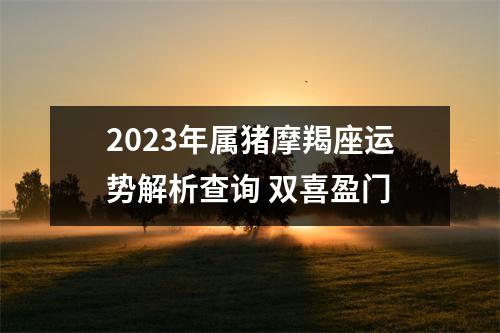 <h3>2025年属猪摩羯座运势解析查询双喜盈门