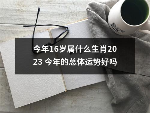 今年16岁属什么生肖2025今年的总体运势好吗