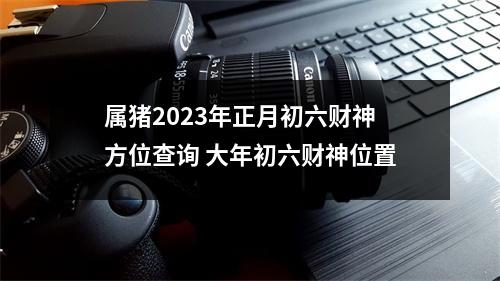 <h3>属猪2025年正月初六财神方位查询大年初六财神位置