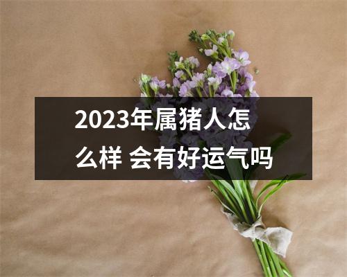 2025年属猪人怎么样会有好运气吗