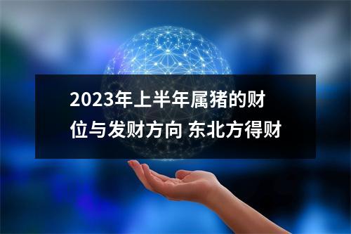 2025年上半年属猪的财位与发财方向东北方得财