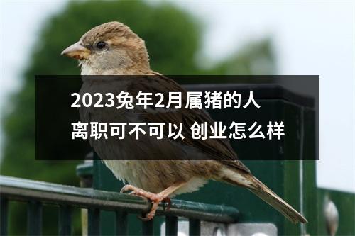 2025兔年2月属猪的人离职可不可以创业怎么样