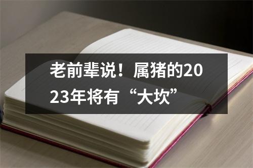 老前辈说！属猪的2025年将有“大坎”