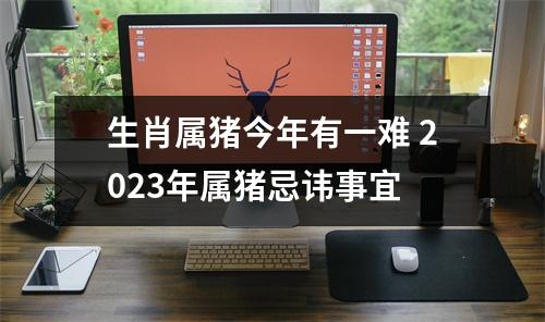 <h3>生肖属猪今年有一难2025年属猪忌讳事宜