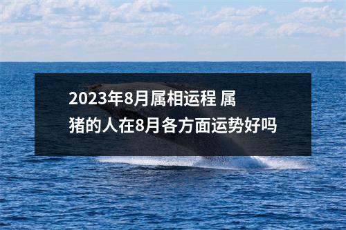 2025年8月属相运程属猪的人在8月各方面运势好吗