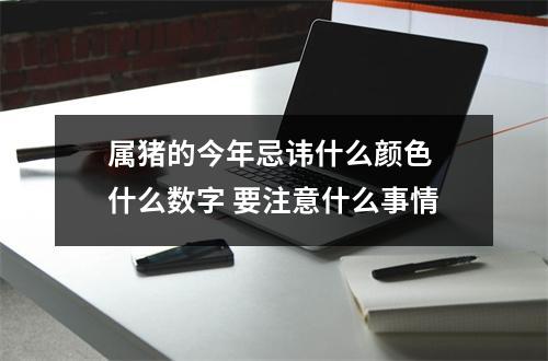 属猪的今年忌讳什么颜色什么数字要注意什么事情