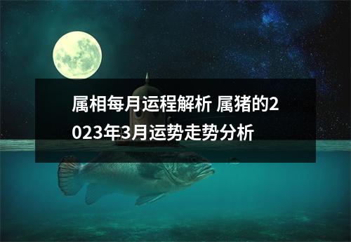 属相每月运程解析属猪的2025年3月运势走势分析