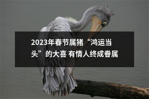 2025年春节属猪“鸿运当头”的大喜有情人终成眷属